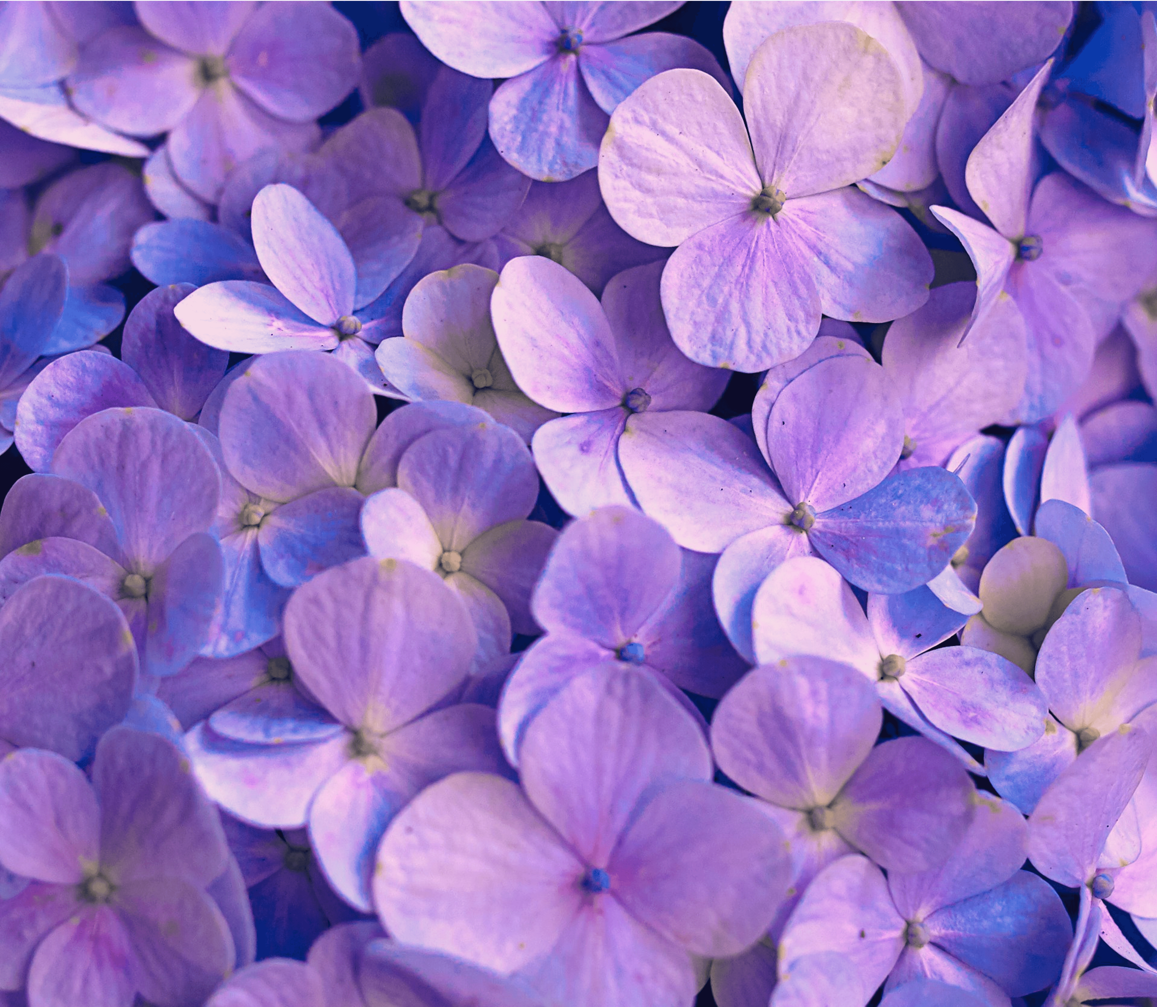 banner-slider-image-1